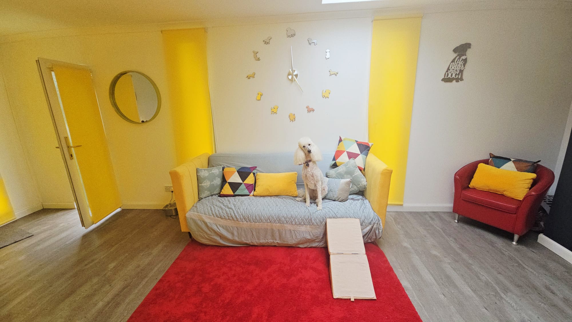 The Dogchester Luxury Pet Hotel Lesmahagow Lanarkshire